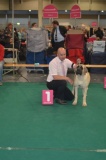 mona dogshow maasstricht dag 2 004